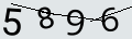 verifycode
